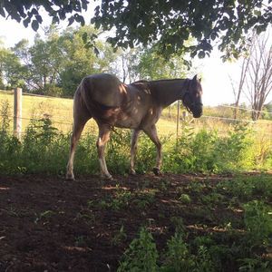 Meet your Posher, Jaylynn